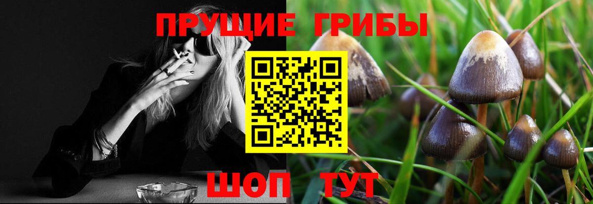 Галлюциногенные грибы GOLDEN TEACHER  Вход с VPN  Кимовск 
